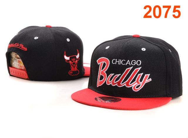 Chicago Bulls NBA Snapback Hat PT053